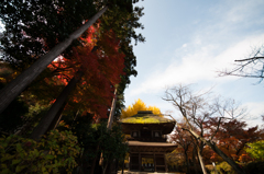 広徳寺の入り口