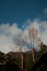 秋の空