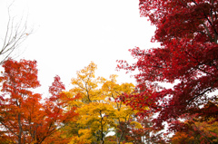 Three colors