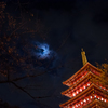 ライトアップされた高幡不動(3)