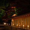 夜もみじver1