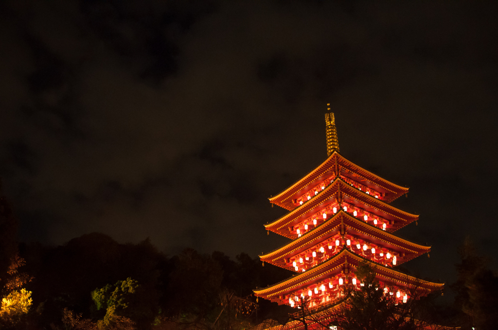 ライトアップされた高幡不動(4)