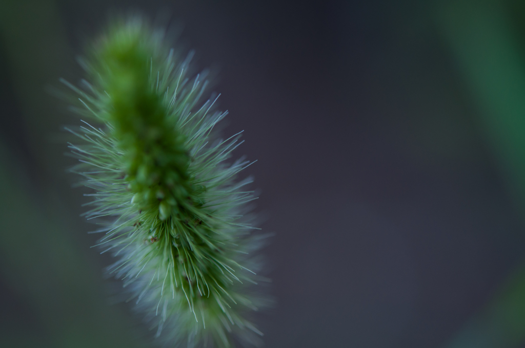 近くで見ると印象が違うな～