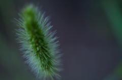 近くで見ると印象が違うな～