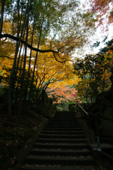 丘の上の楽園