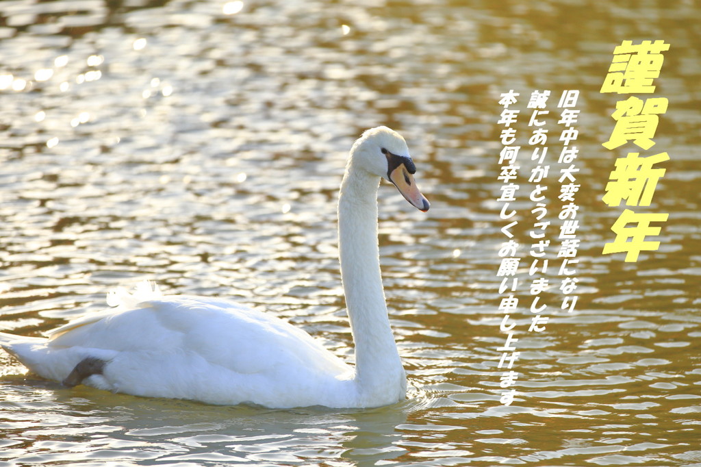 迎春