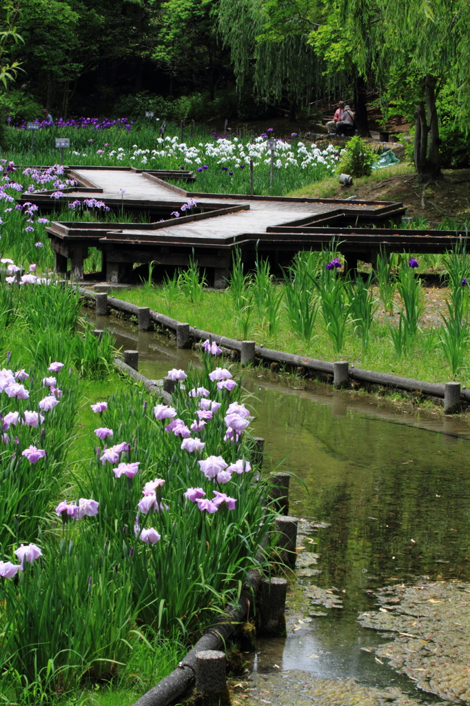 準備整いました！