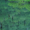 池・沼