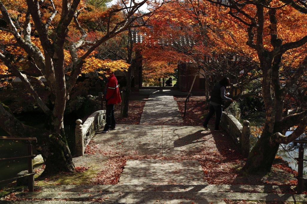 円通寺 山門