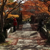 円通寺 山門
