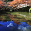 円通寺 放生池