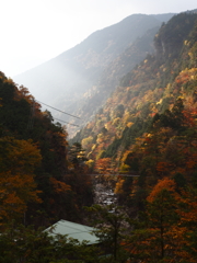 渓谷に秋そそぐ