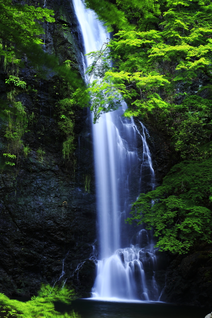 箕面大滝