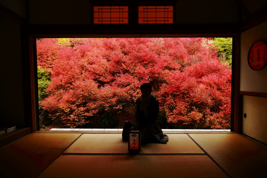 安国寺
