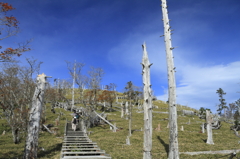 秋の大台ヶ原２