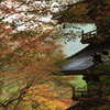 高源寺 多宝塔