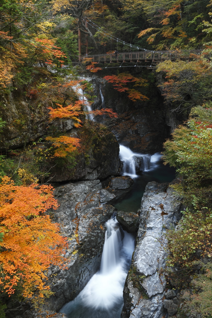 御手洗渓谷の紅葉