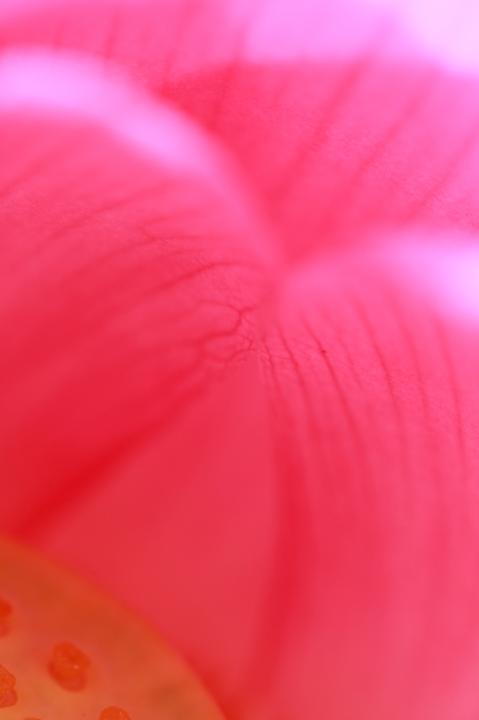 も～いいかい？