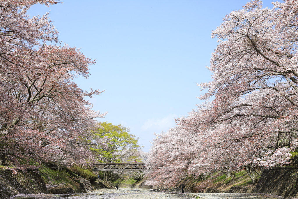 七谷川～1