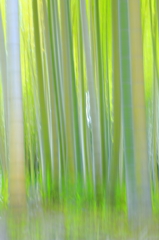 萌える