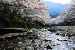 「七谷川」 その三