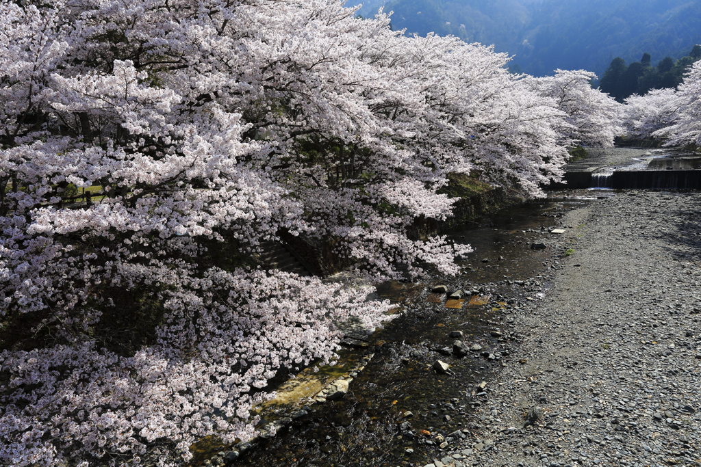 「七谷川」 その二