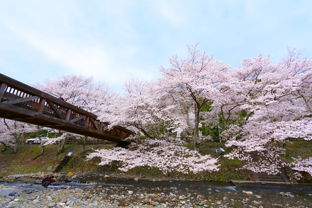 和らぎの道～3