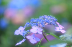 めざめ