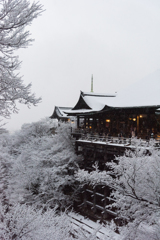 雪の清水寺