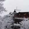 雪の清水寺