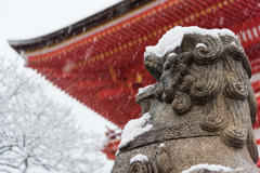 雪の清水寺