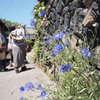 てくてく