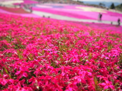茶臼山