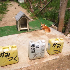 茶臼山
