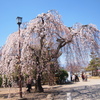 松本城