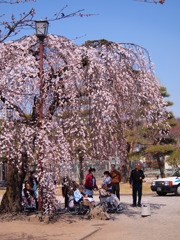 松本城