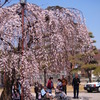 松本城