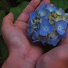 お花photo