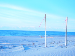 PC284577