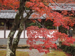 永源寺