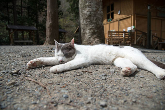 キャンプ場の休日