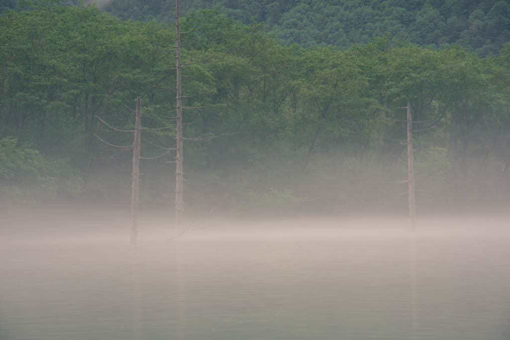 霧に浮かぶ