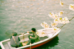 千鳥ヶ淵近景