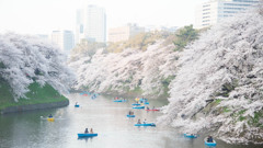 千鳥ヶ淵遠景