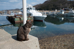 ようこそ真鍋島へ