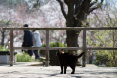 みつめる