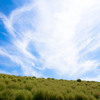 夏雲を追いかけて