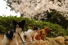 集合写真