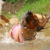 Splash！