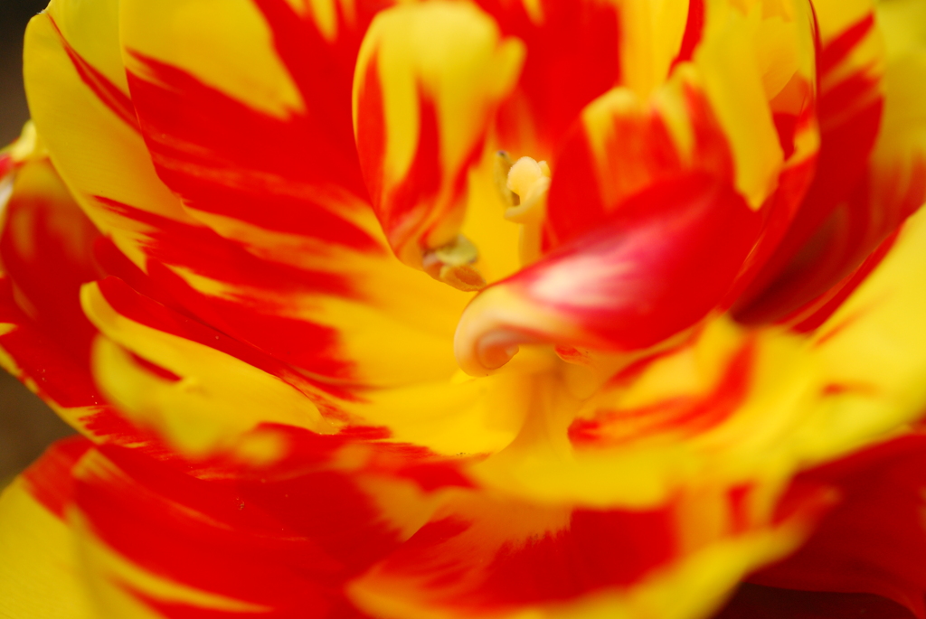 DSC_0278